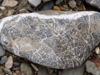 Graubrauner Stein mit feiner, dichten Maserung in Weiß